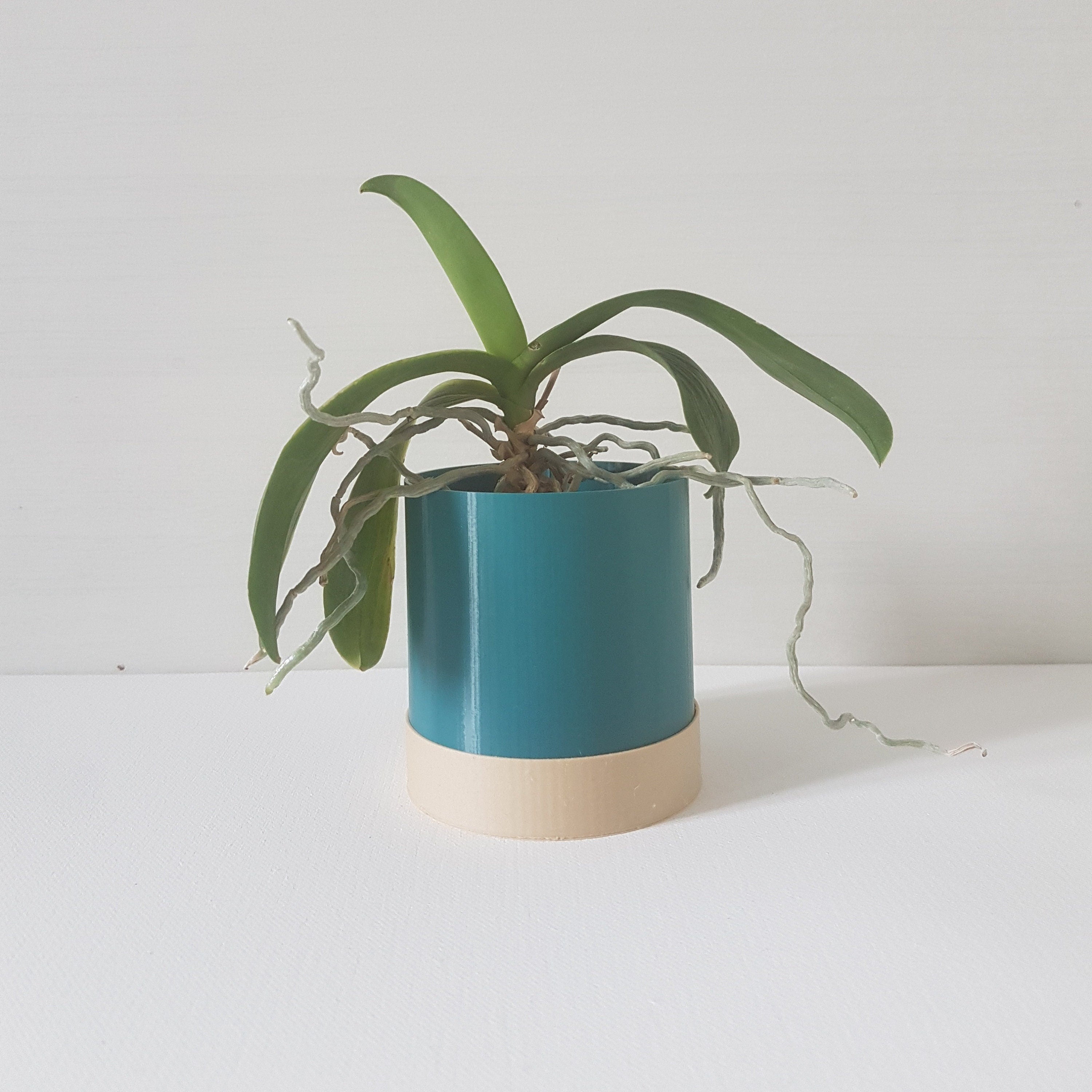 Tumbler Indoor Planter with Drip Tray