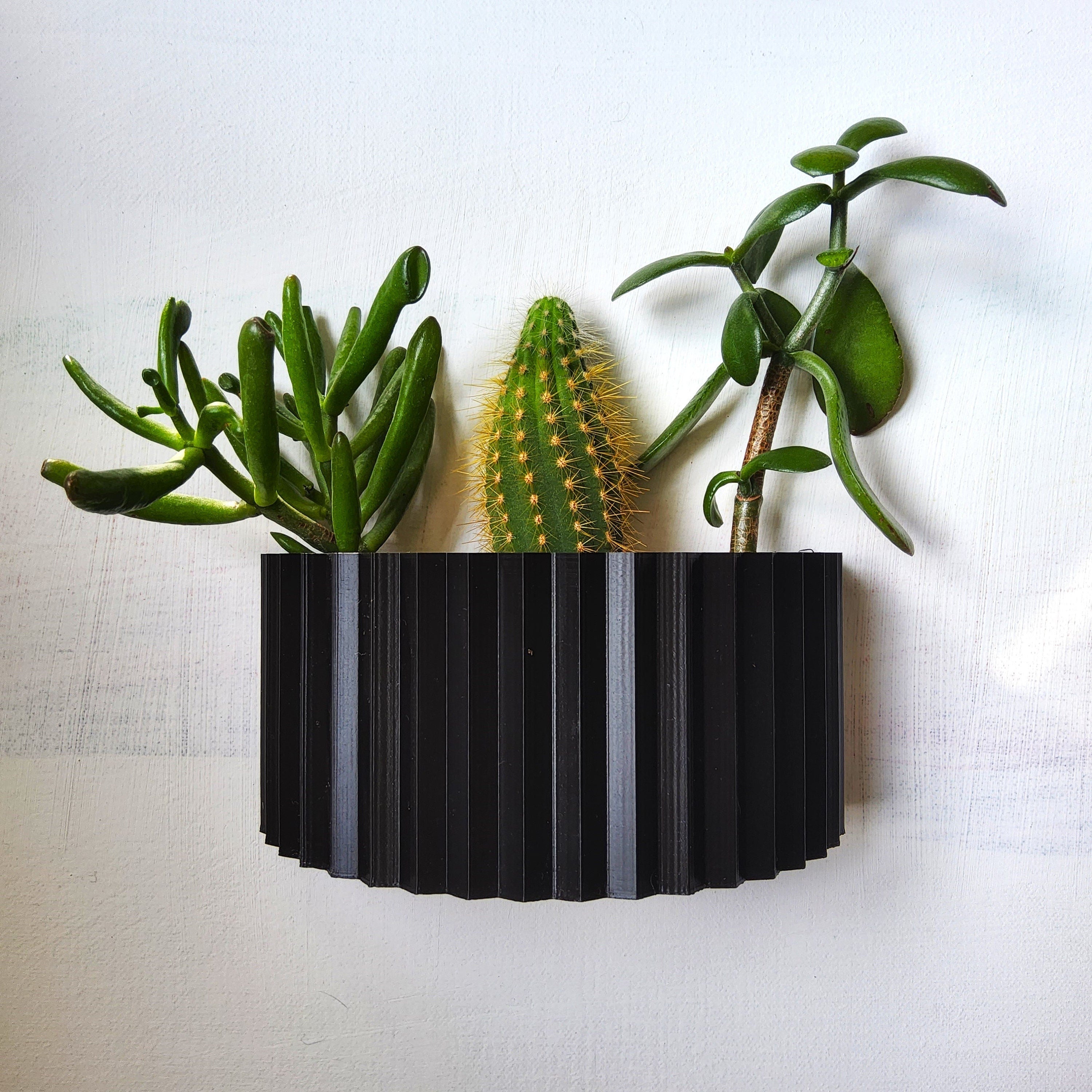 Lisbona Wall Planter