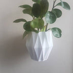 Berlin Hanging Planter