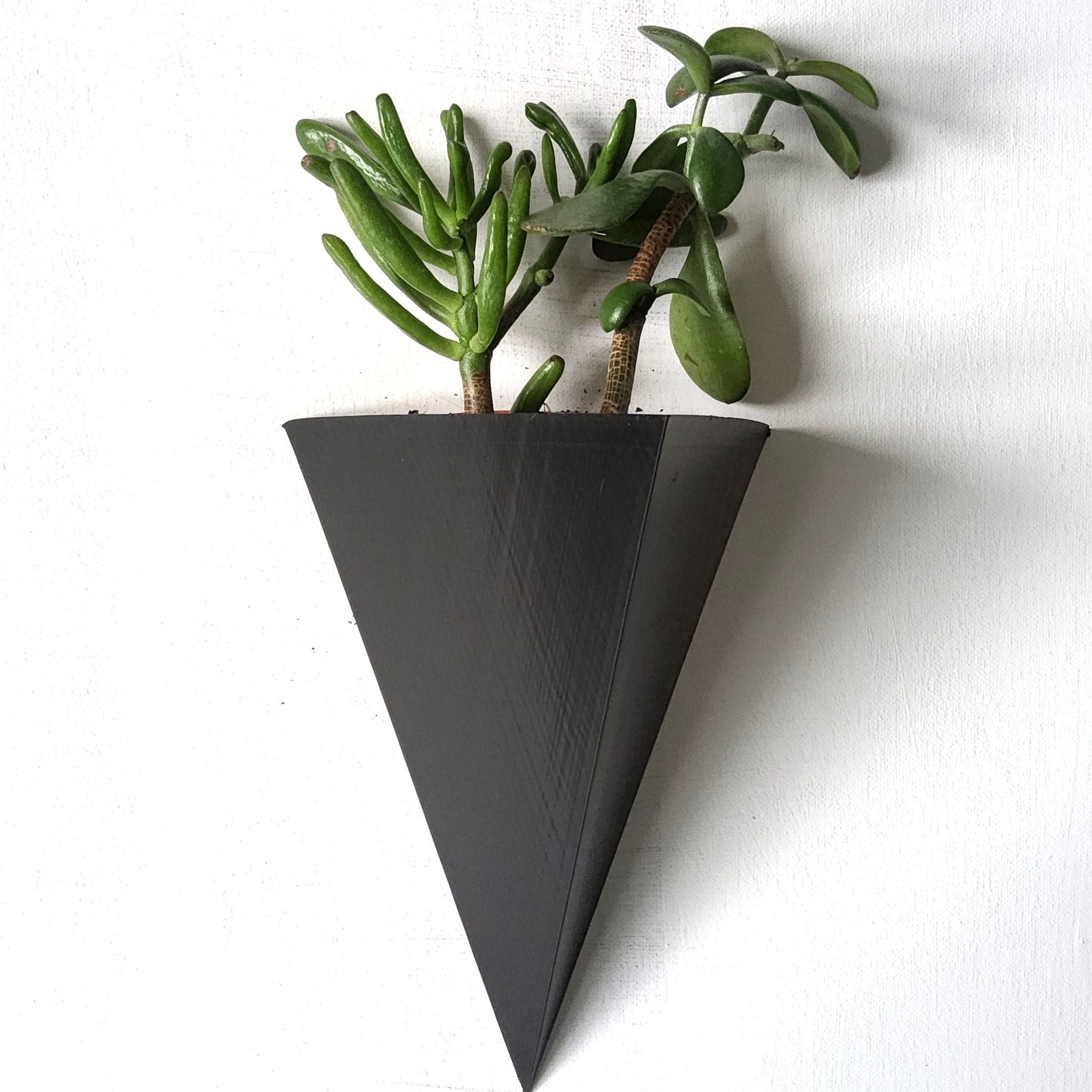 Sion Wall Planter