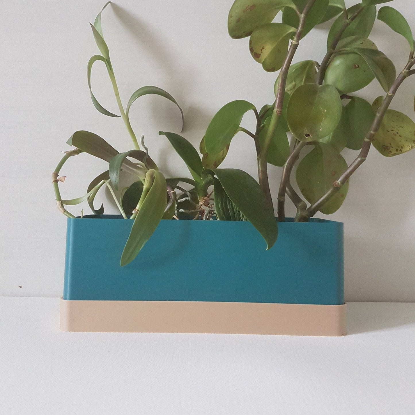 Flora Indoor Planter Set with Drip Tray