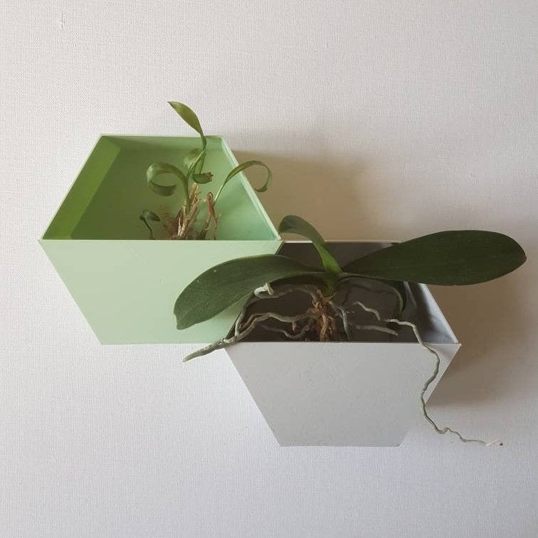 Nevada Wall Planters: Honeycomb Design