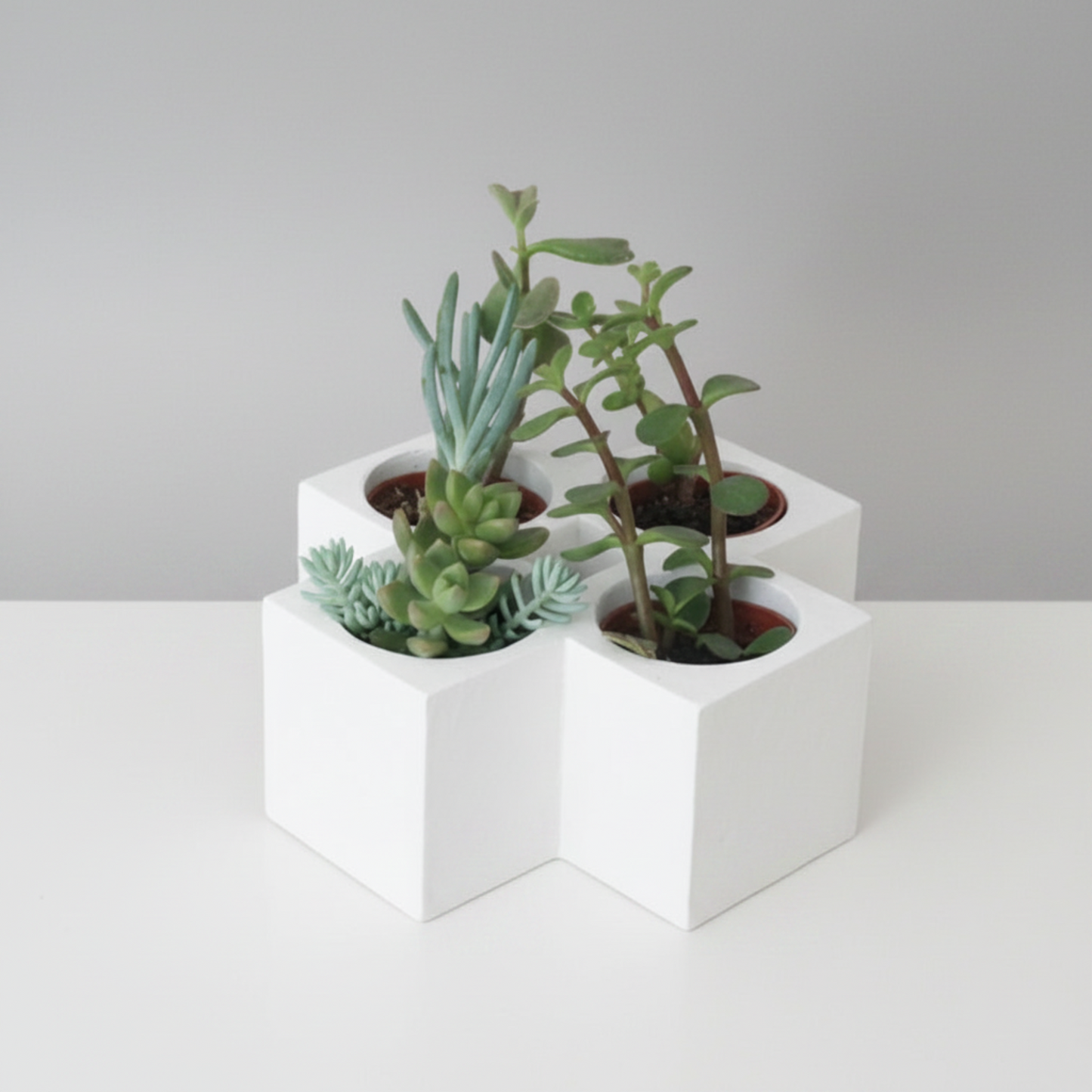 white geometric cube planters arranged in a cluster on a white surface against a light gray background, each holding a green succulent plant.