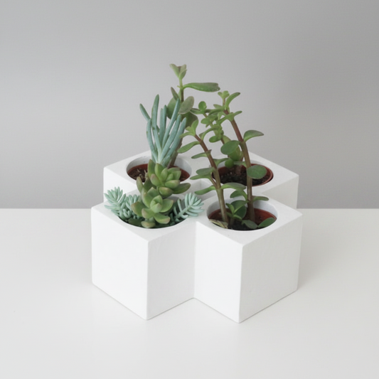 white geometric cube planters arranged in a cluster on a white surface against a light gray background, each holding a green succulent plant.