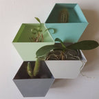 Nevada Wall Planters