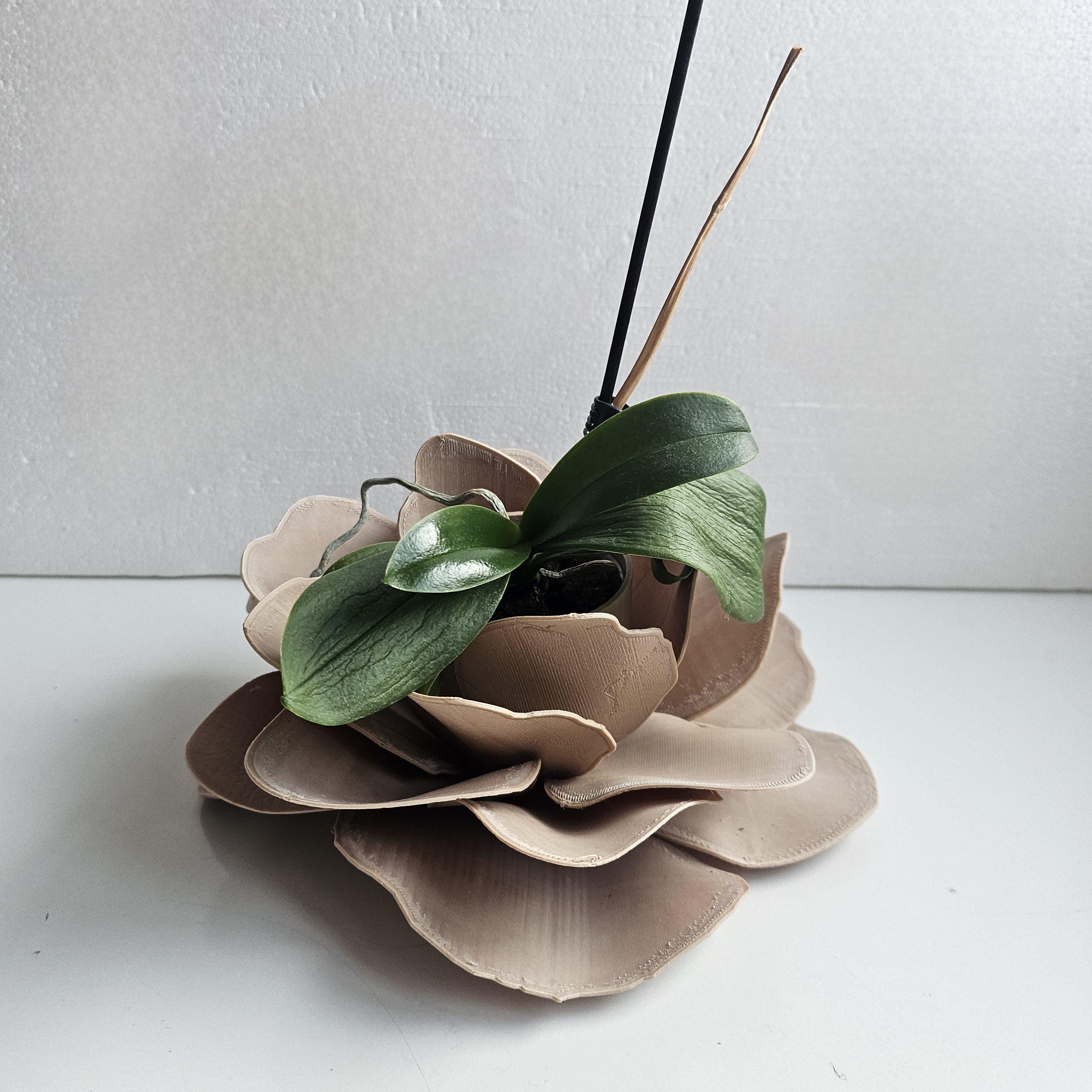 Camelia Indoor Planter