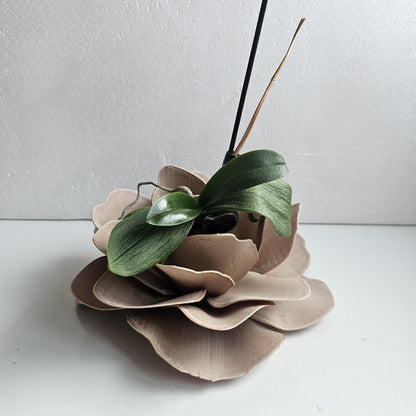 Camelia Indoor Planter