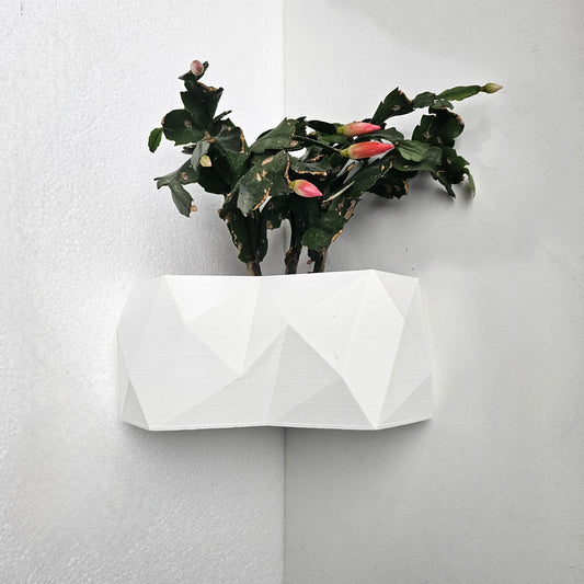 The Rio Corner Wall Planter