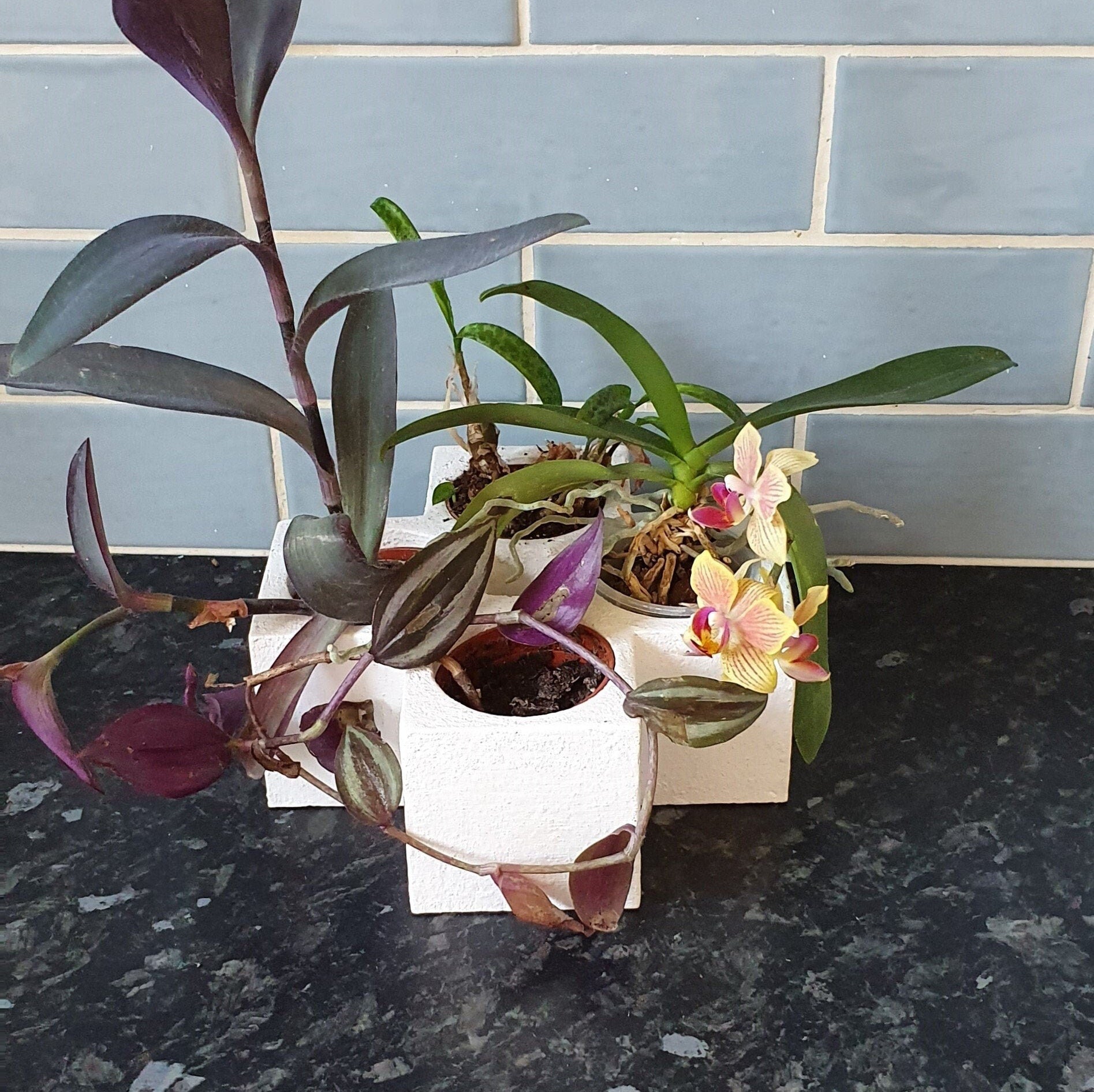 Francis Indoor Planters