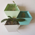 Nevada Wall Planters