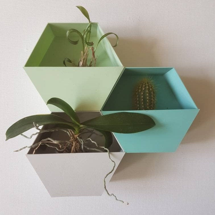 Nevada Wall Planters: Honeycomb Design