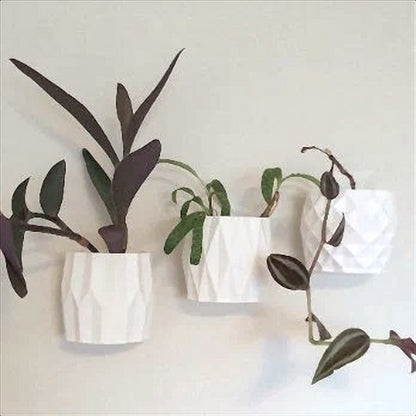The Venice Wall Planter Set