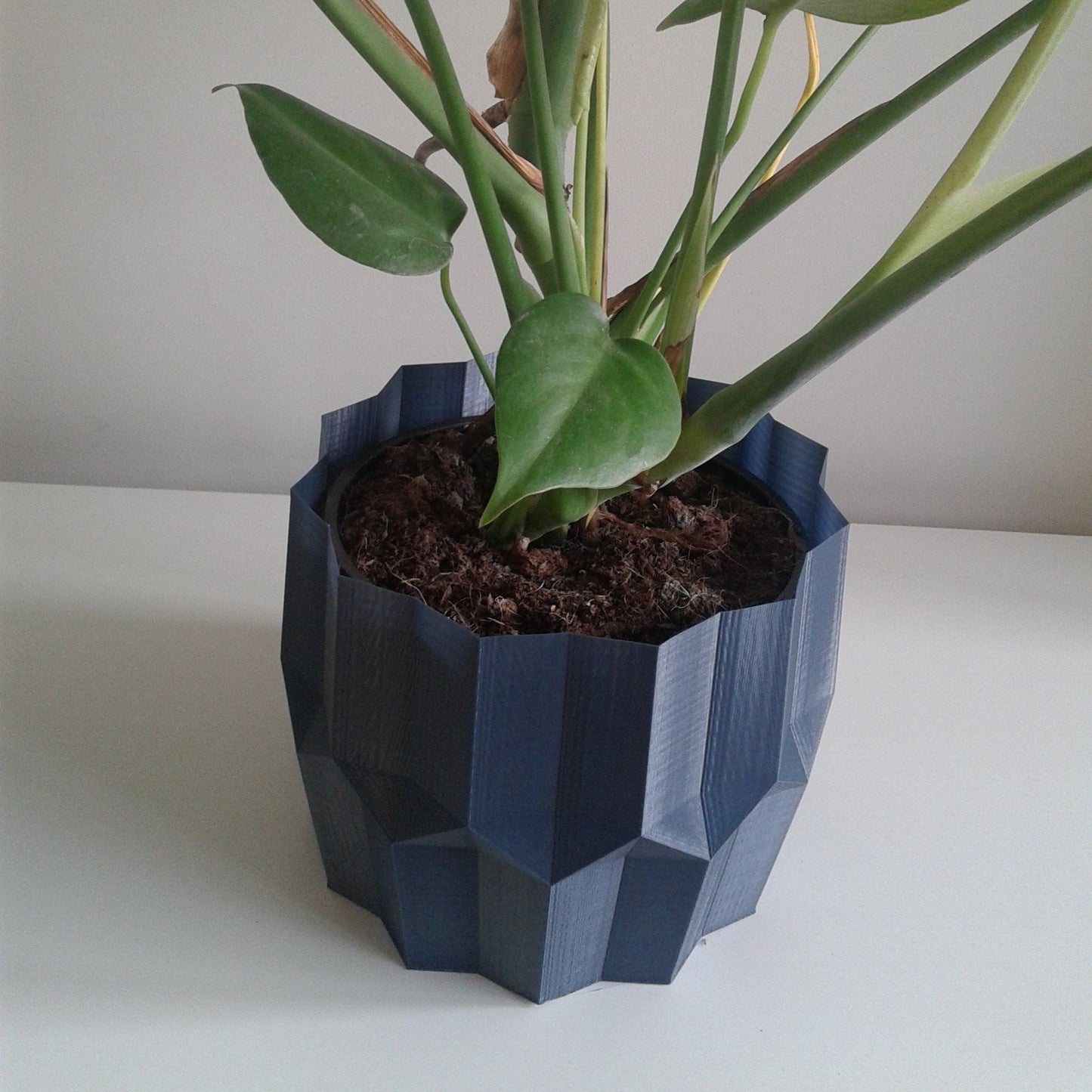 Tulip Indoor Planter