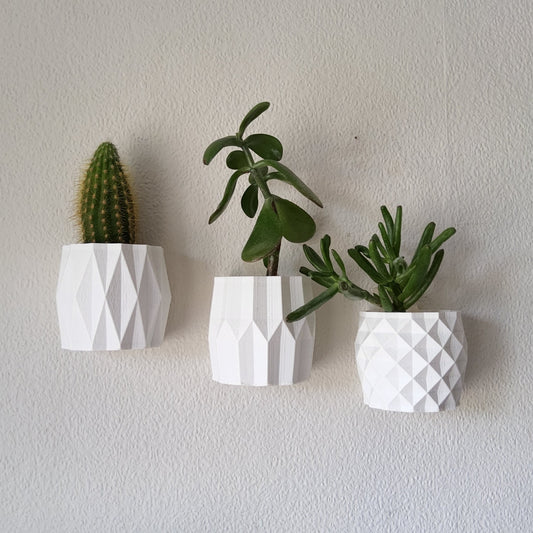 Three geometrically patterned white planters with plants on a plain wall.