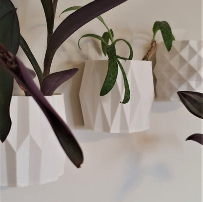 The Venice Wall Planter Set