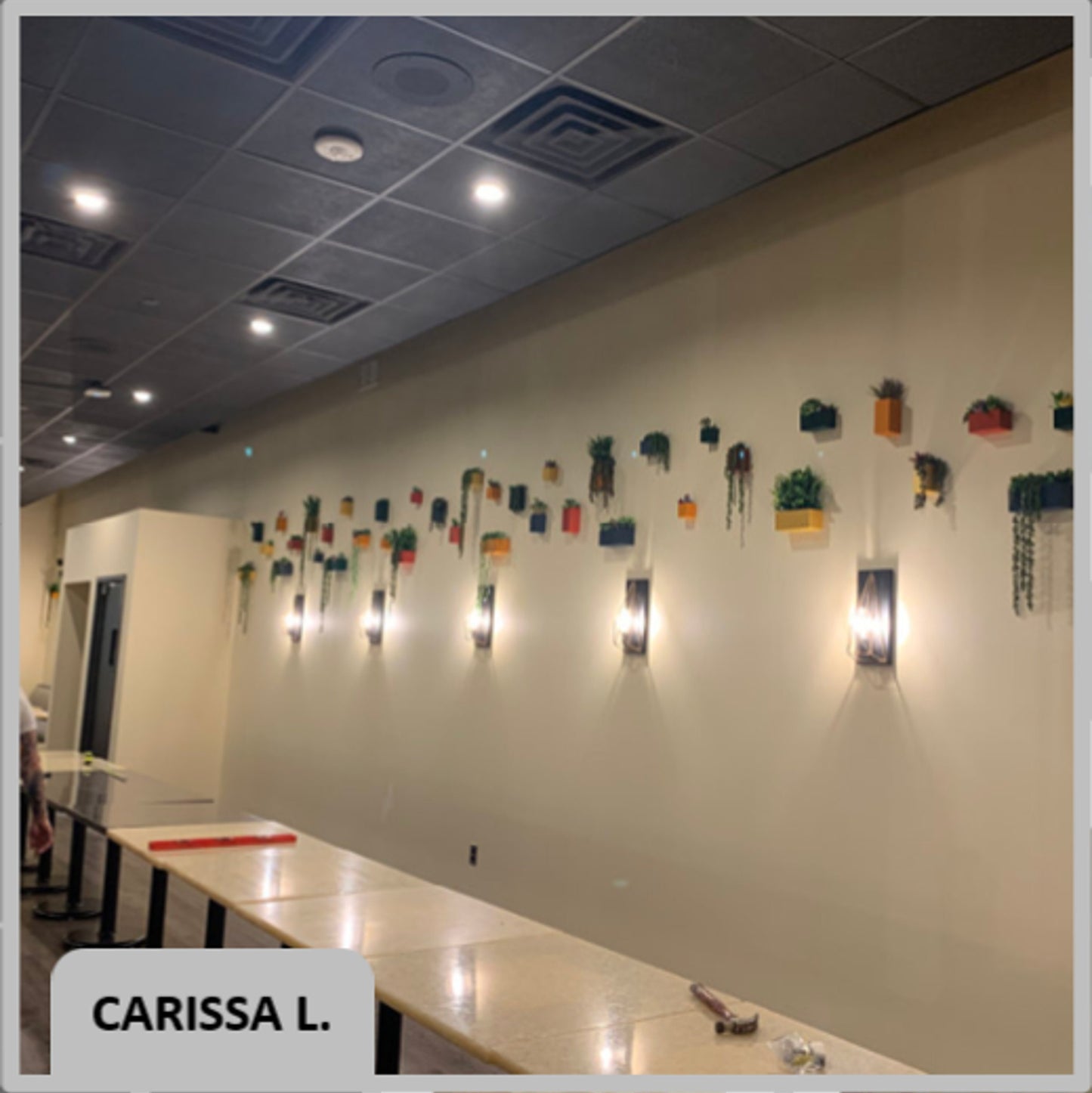 Cannes Wall Planter Set: Modern Eco-Friendly Wall Planters