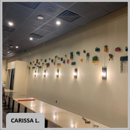 Cannes Wall Planter Set: Modern Eco-Friendly Wall Planters