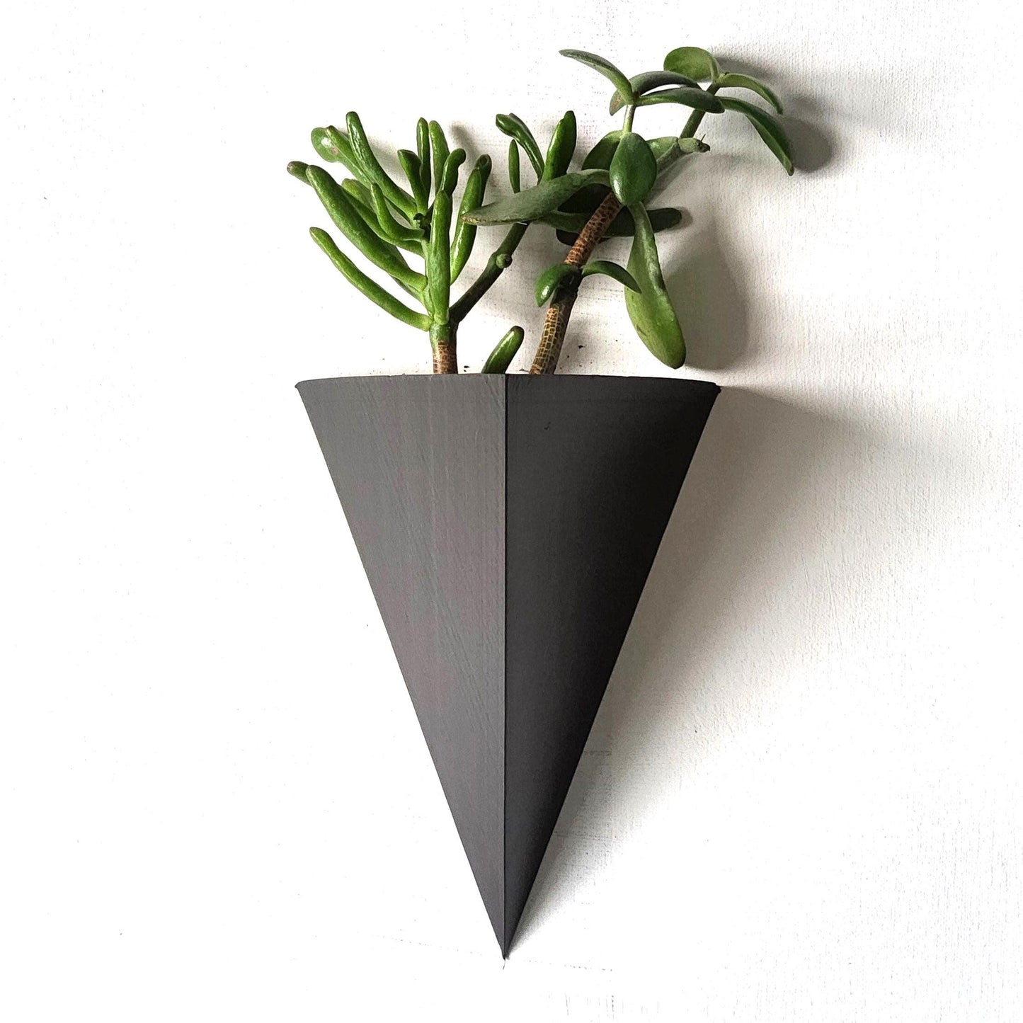 Sion Wall Planter