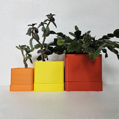 Limoges Indoor Planters