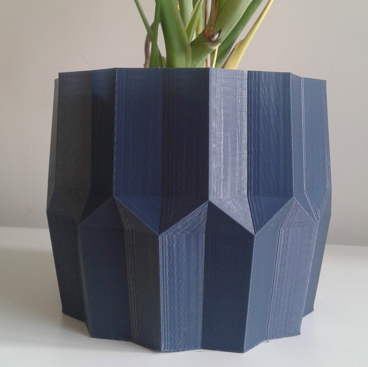 Tulip Indoor Planter