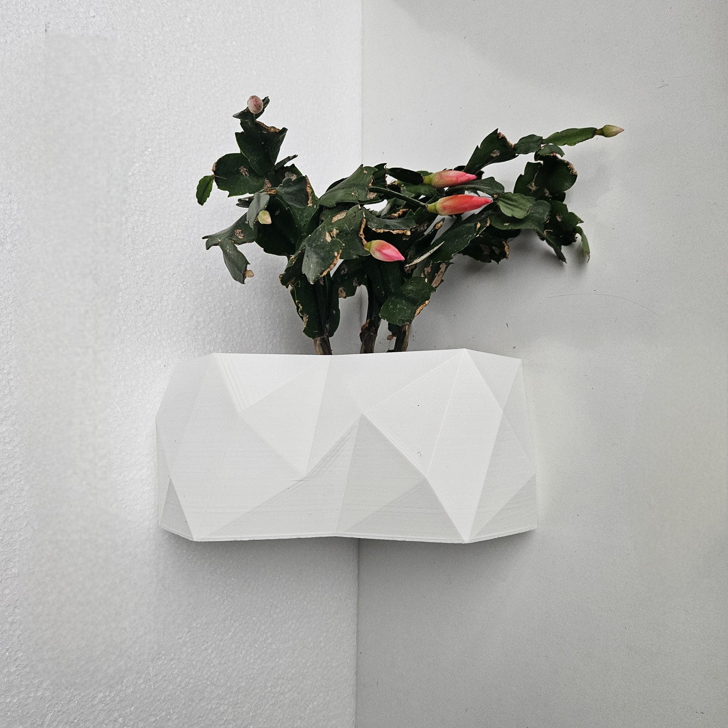 The Rio Corner Wall Planter