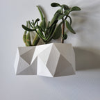 Dover Wall Planter