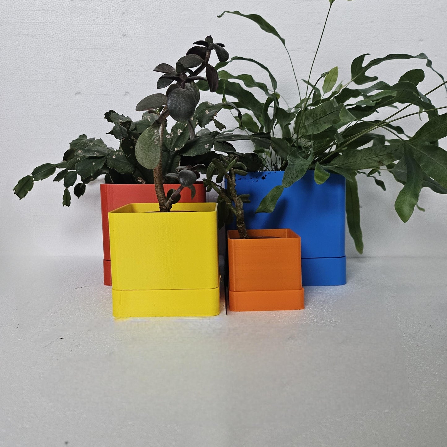 Limoges Indoor Planters