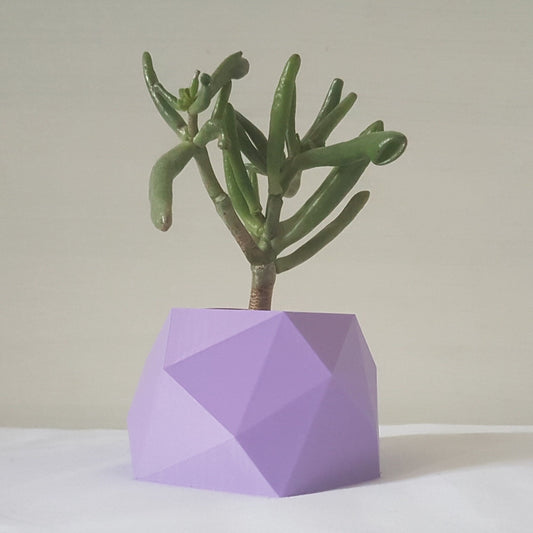 Vanuatu Indoor Planter