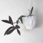 Berlin Hanging Planter