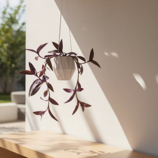 Hanging plant in a modern outdoor setting with a bench and greenery.