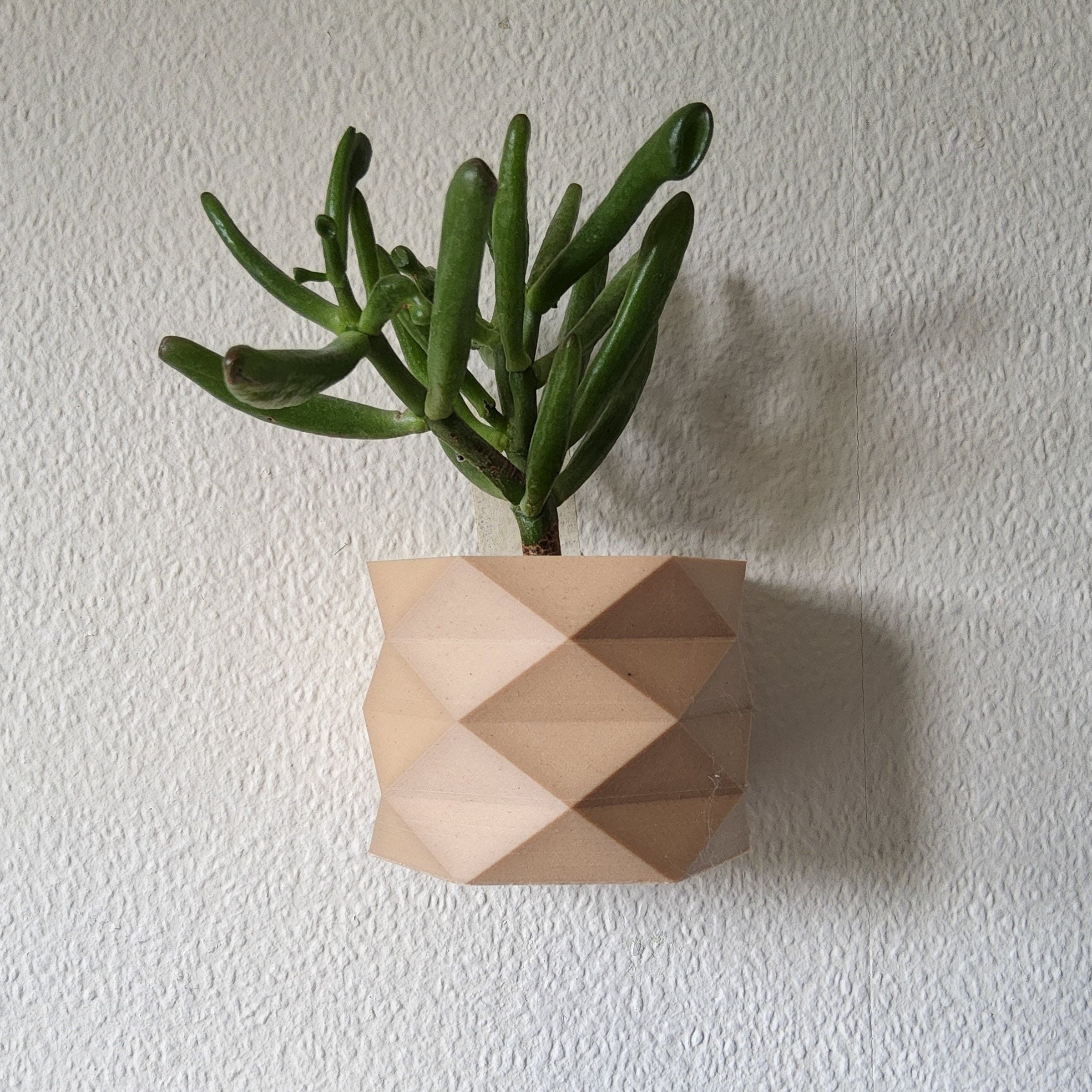 Carmen Wall Mounted Plant Pot