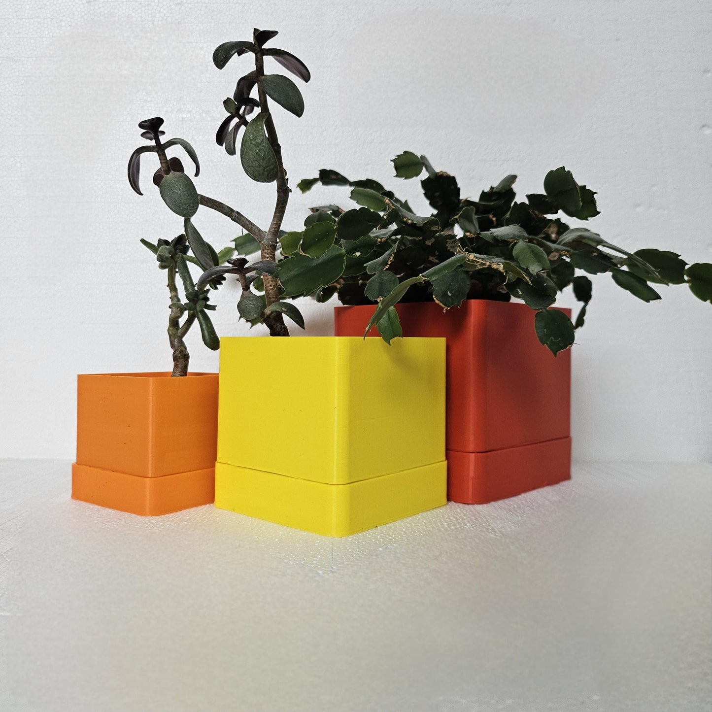 Limoges Indoor Planters