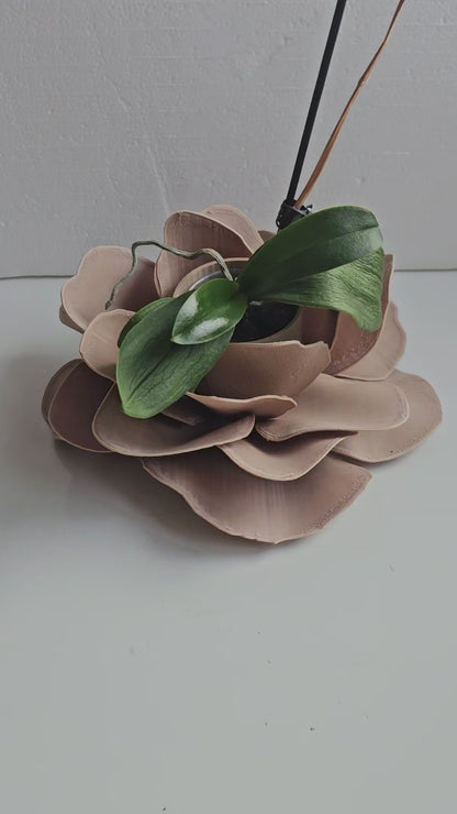The Camelia Planter