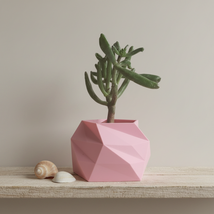 A pink faceted geometric planter holding a green succulent, styled on a light wooden shelf with two small seashells against a neutral beige background.