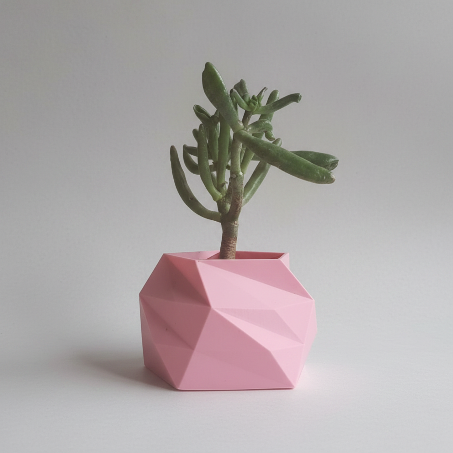 Pink geometric planter with a succulent on a plain background