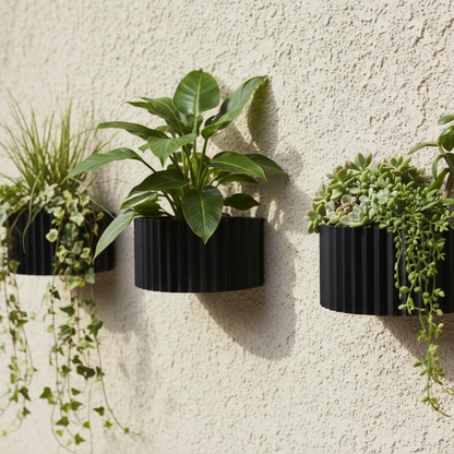 Three wall-mounted planters with green plants on a textured wall.