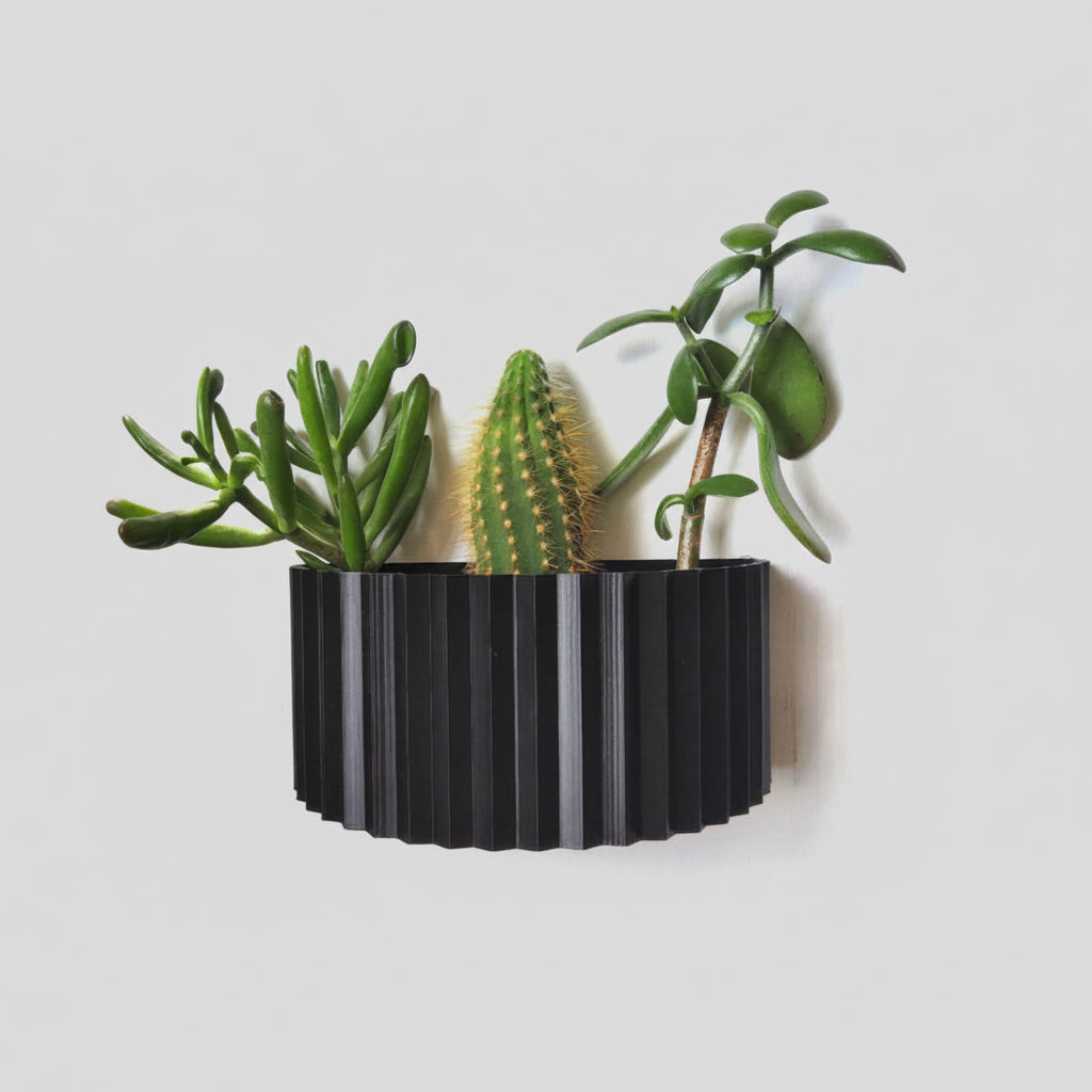 Black ribbed wall planter with three plants on a white background